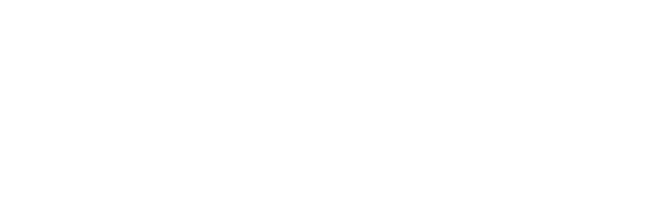 Mactwin Security