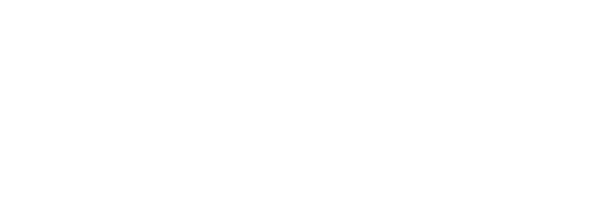 Mactwin Security